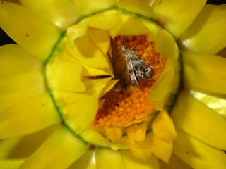 P1203072a.jpg